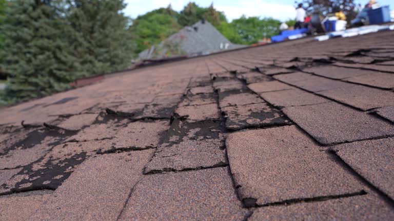 Best Skylights  in Williamsport, IN