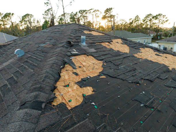 Best Skylight Installation and Repair  in Williamsport, IN