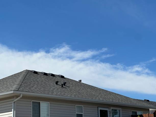 Best Roofing for New Construction  in Williamsport, IN